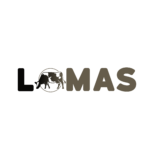 02 LOMAS