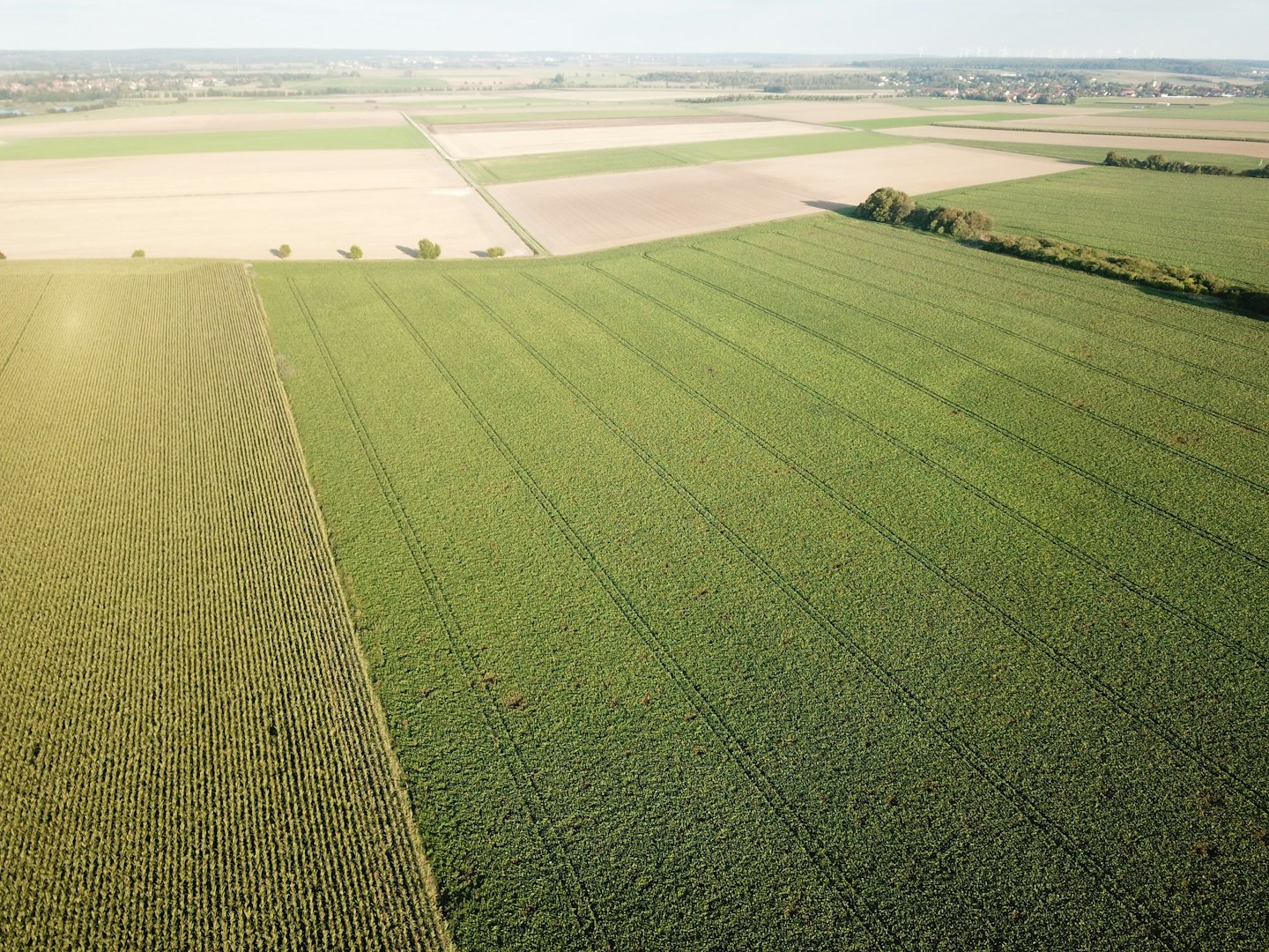 Extensos campos de cultivo con cosechas verdes y tierra arada.